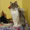 Отзыв от Олеся Ширяева